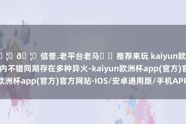 🦄🦄信誉.老平台老马✔️推荐来玩 kaiyun欧洲杯app是以领有者体内不错同期存在多种异火-kaiyun欧洲杯app(官方)官方网站·IOS/安卓通用版/手机APP下载