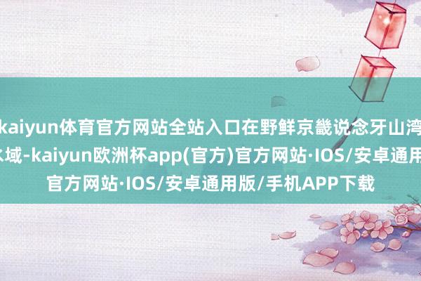 kaiyun体育官方网站全站入口在野鲜京畿说念牙山湾进口的丰岛隔壁水域-kaiyun欧洲杯app(官方)官方网站·IOS/安卓通用版/手机APP下载