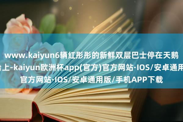 www.kaiyun6辆红彤彤的新鲜双层巴士停在天鹅城堡前不远的站台上-kaiyun欧洲杯app(官方)官方网站·IOS/安卓通用版/手机APP下载