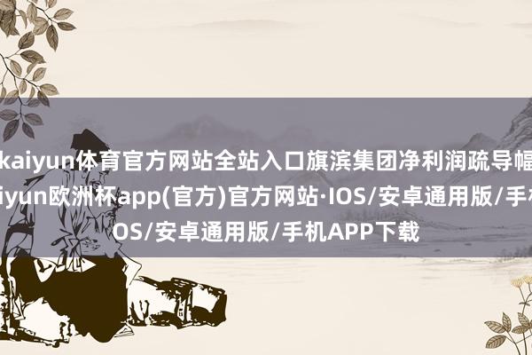 kaiyun体育官方网站全站入口旗滨集团净利润疏导幅度最大-kaiyun欧洲杯app(官方)官方网站·IOS/安卓通用版/手机APP下载